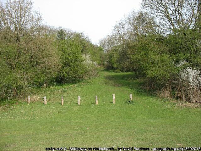 Bridleway on Northchurch Common